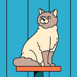 Meet your Posher, Payton